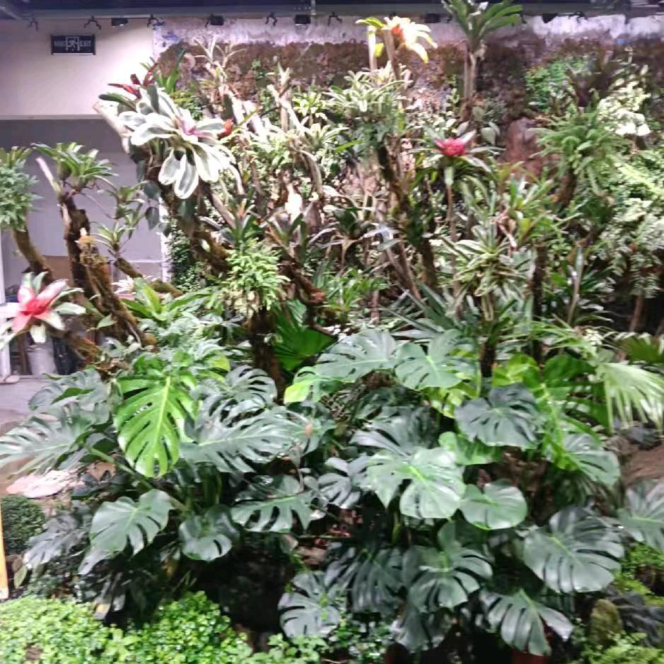 沈姐
