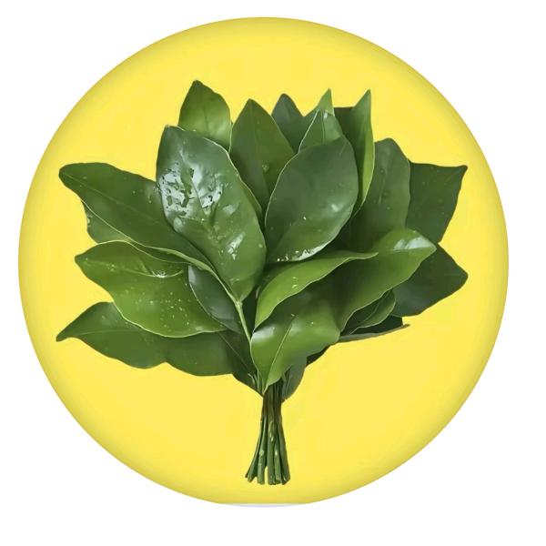 吹吹人间发财风