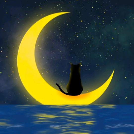 沛妍🦁¹⁹⁹⁶📚