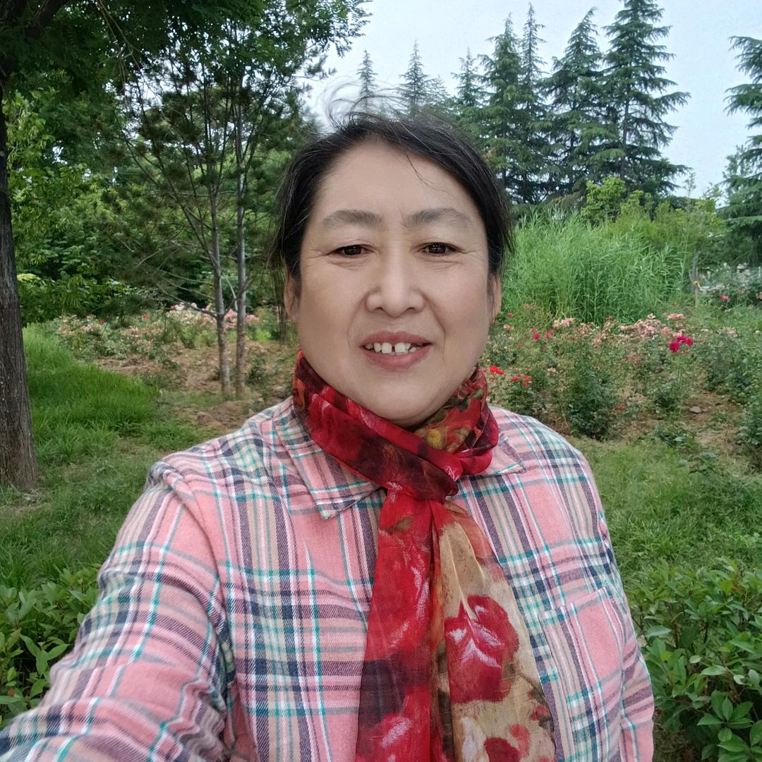 傻老太1（九月一号下午6点10首播）