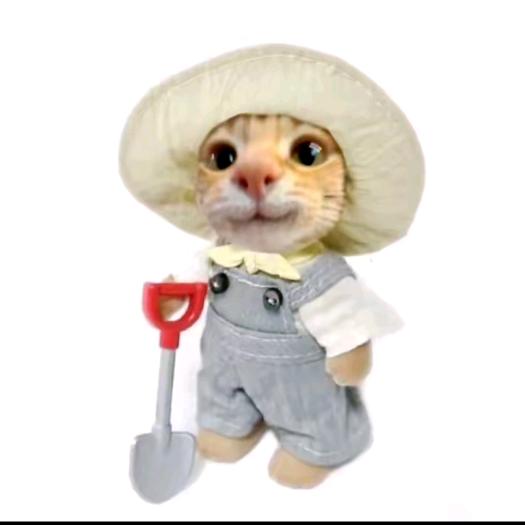 呕泥酱