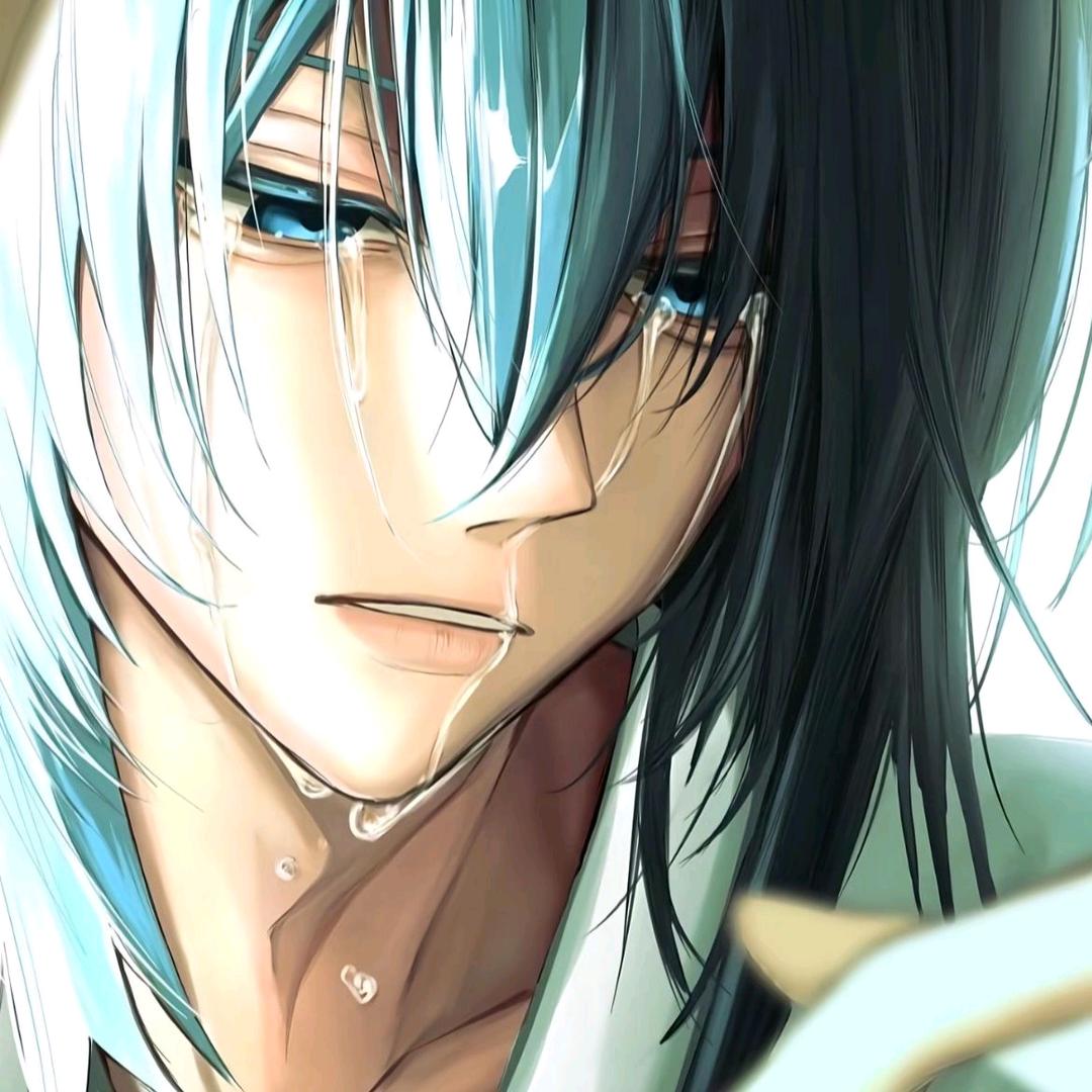 雷欧飞踢哈基咪