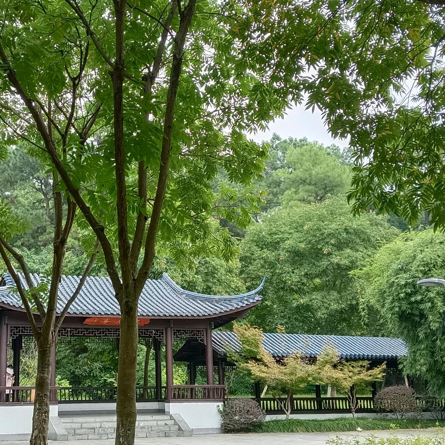 云海