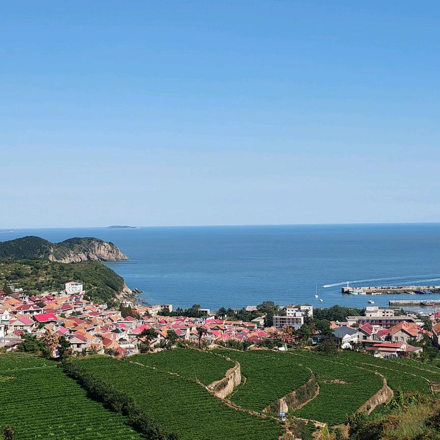 บราเดอร์เหลียง