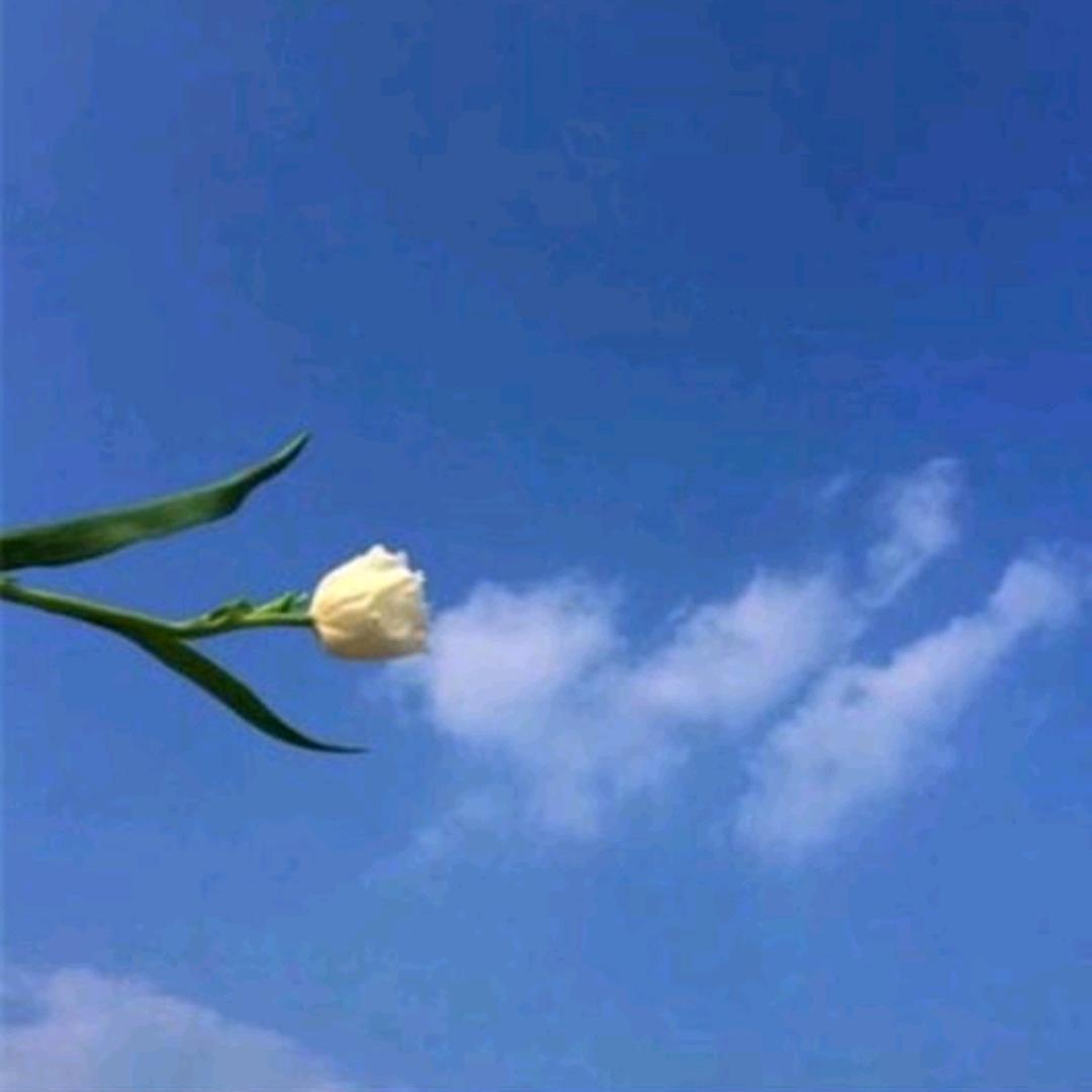 风清云淡