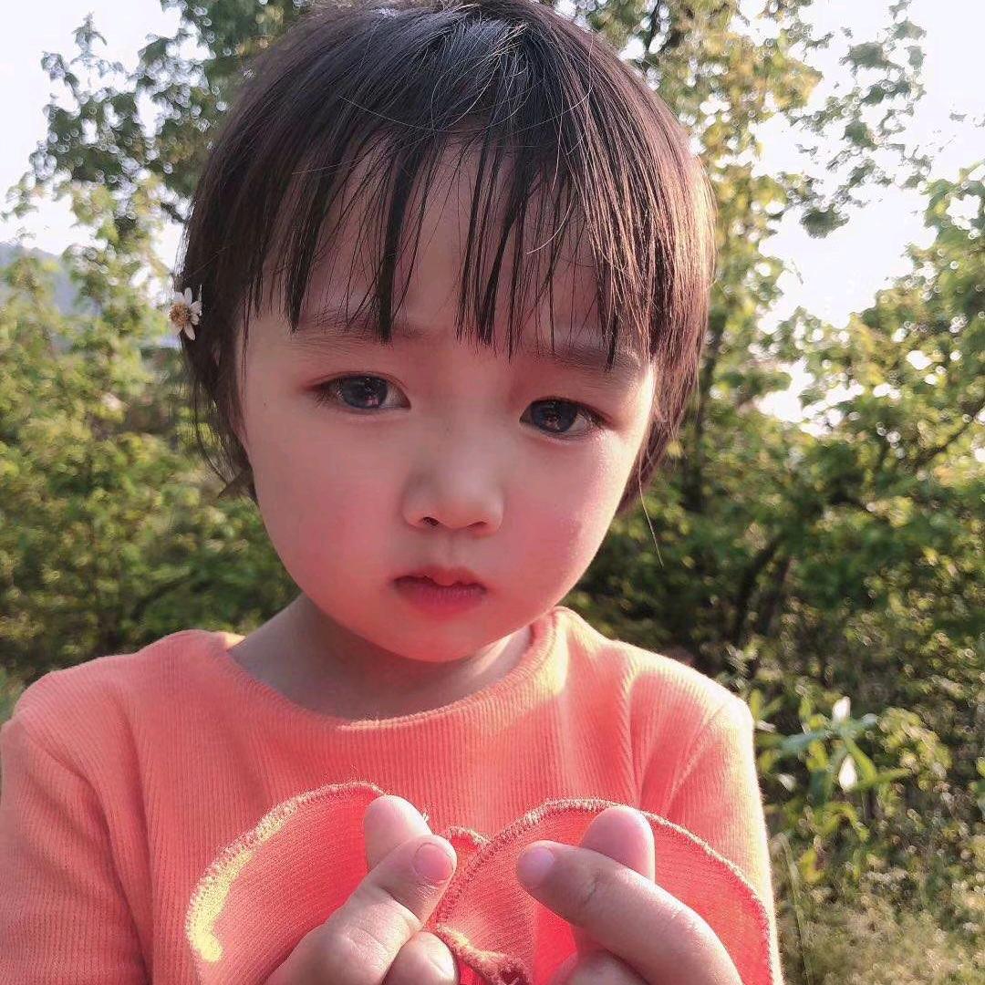 鑫鑫鑫