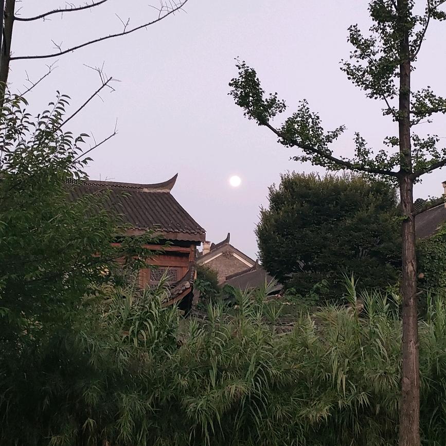 蓝天