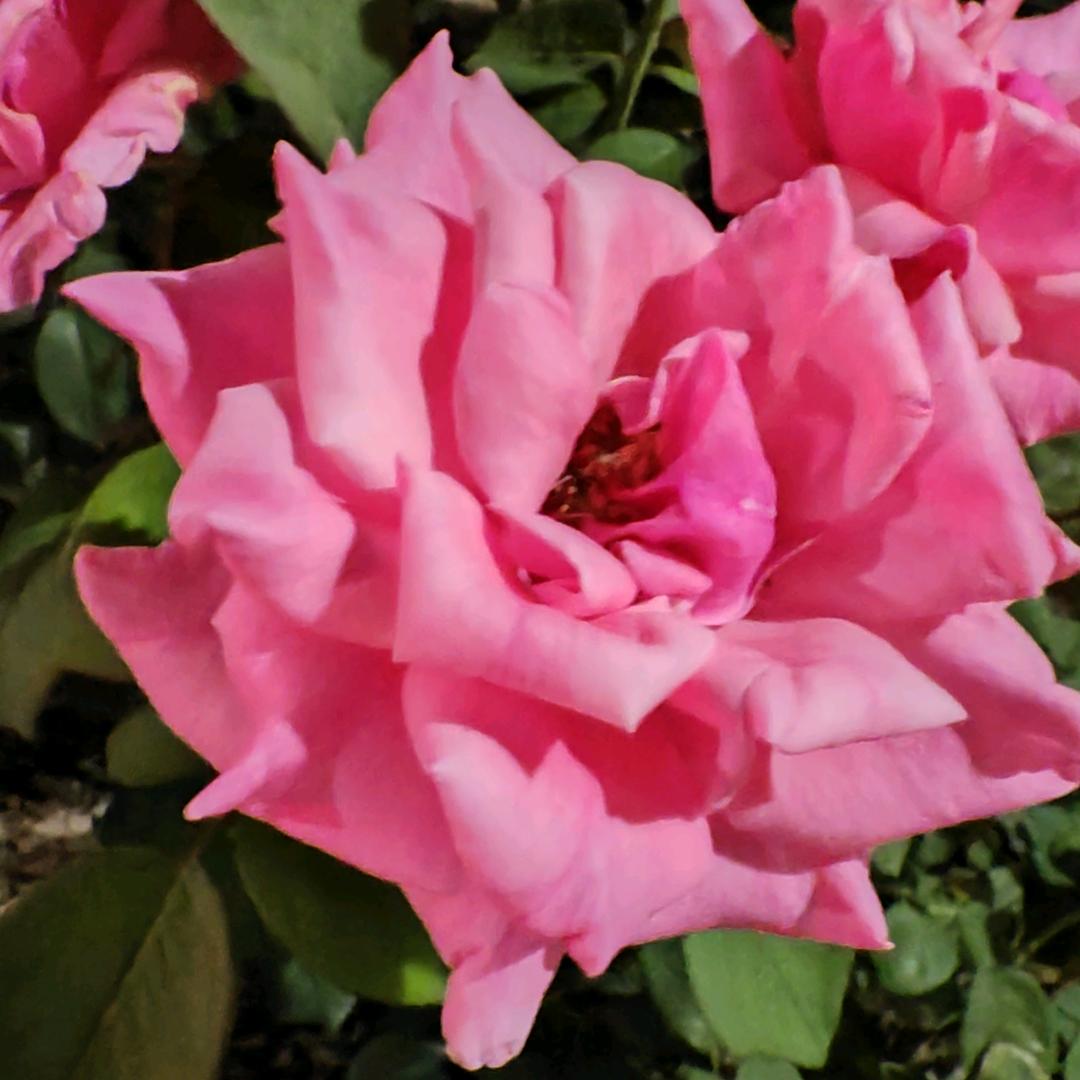 她不会起名字我也不会