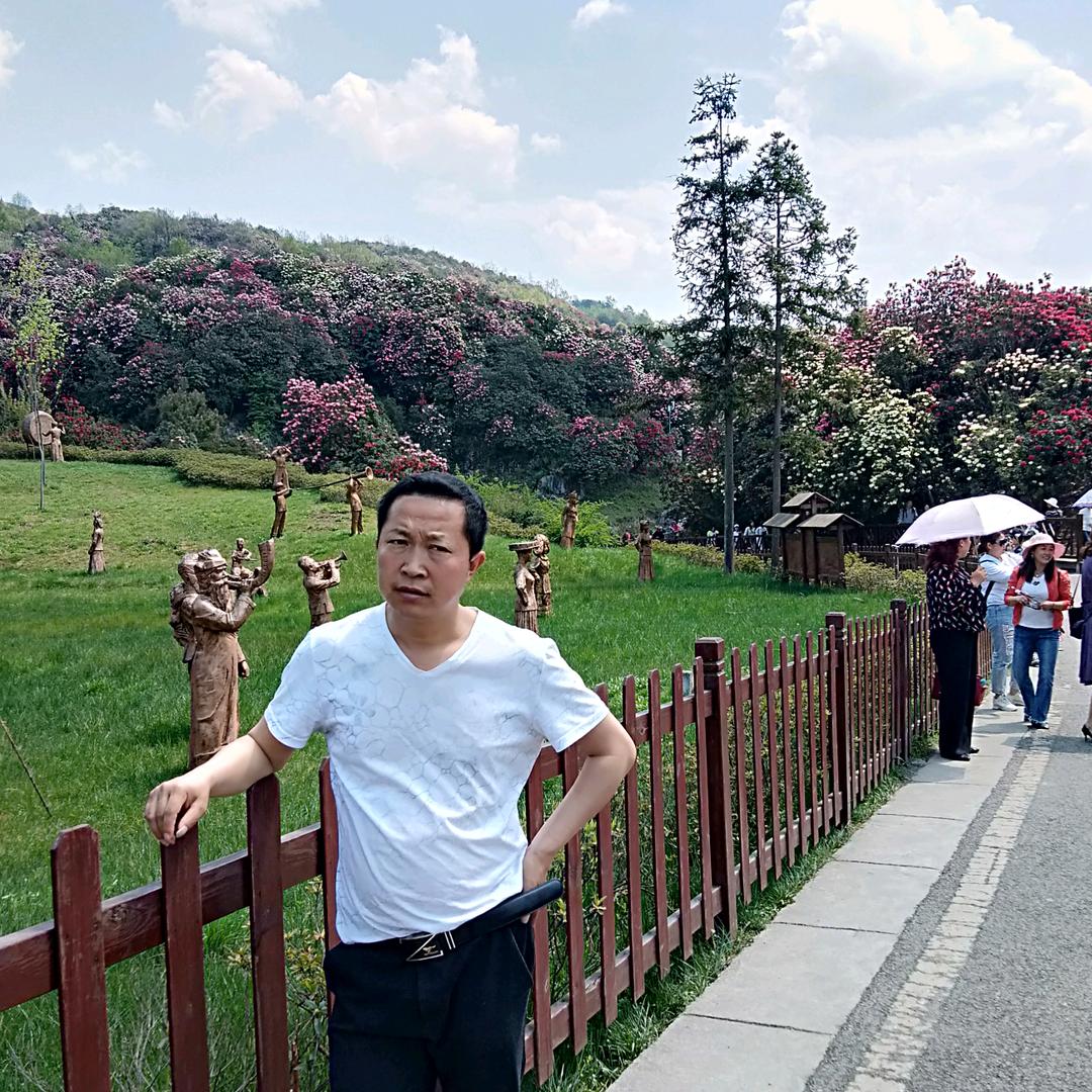 黔西洪二哥2号