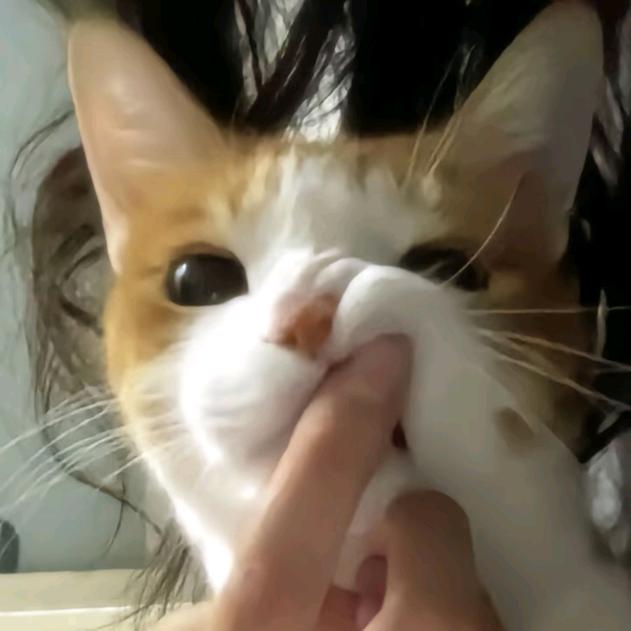 ottooo