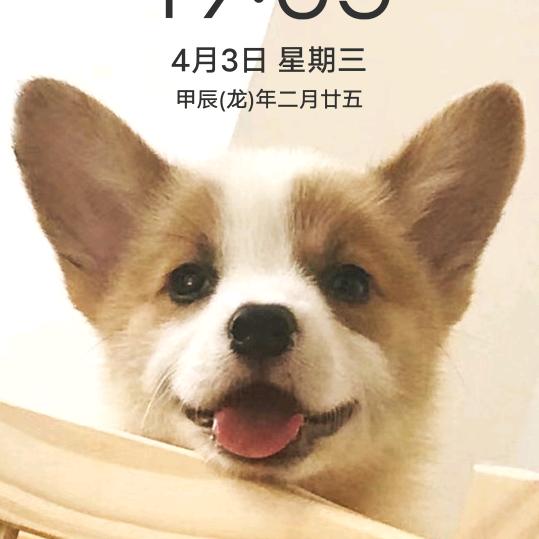 叉车