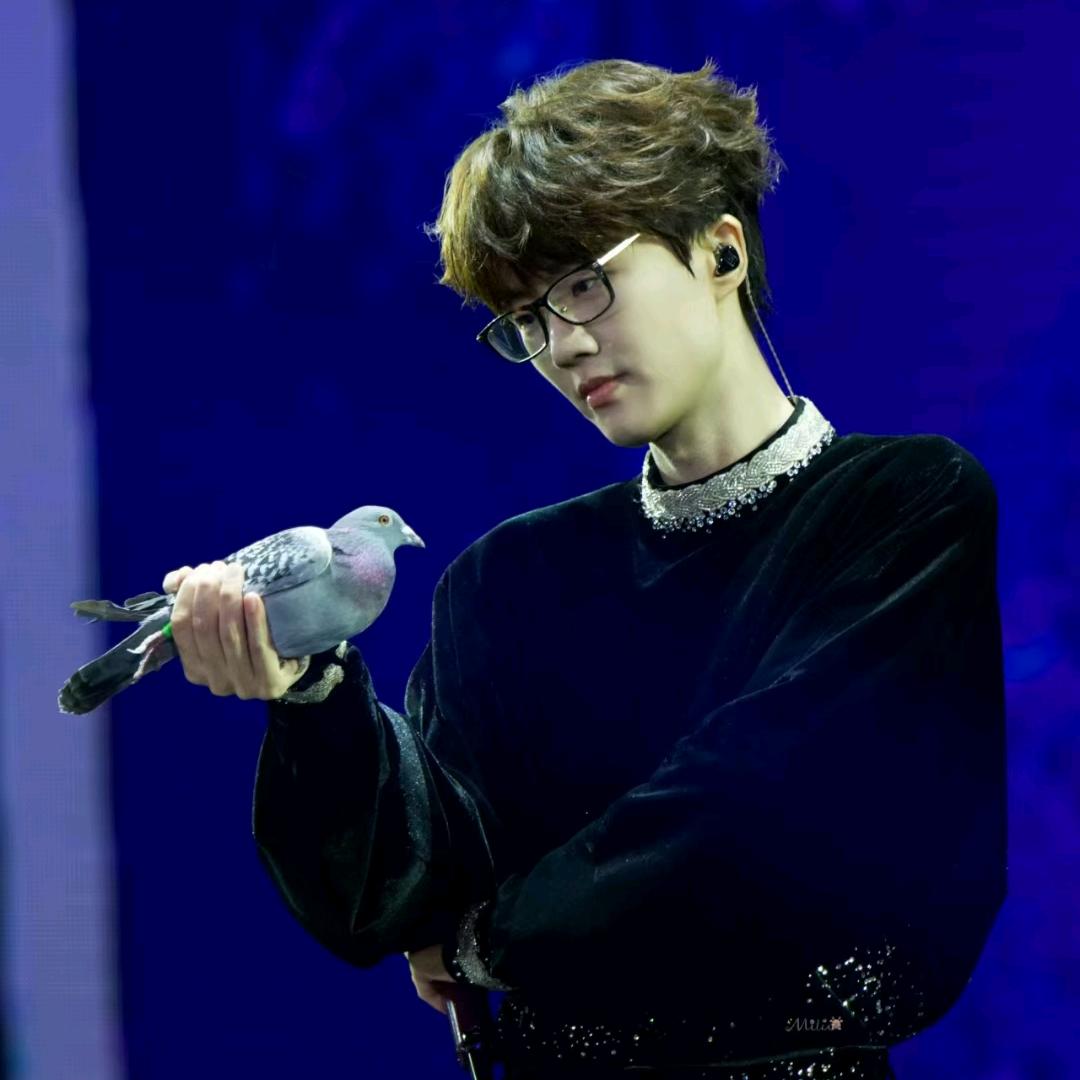 许嵩陪我过端午