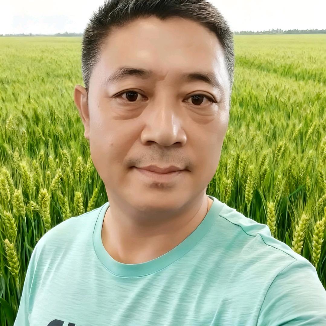 莲心好物集