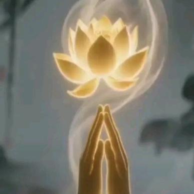 善缘🙏