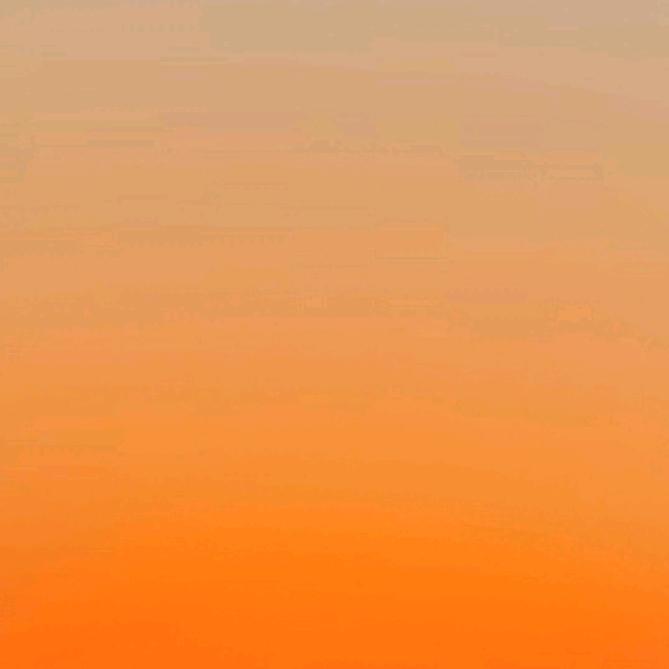 狼王主任