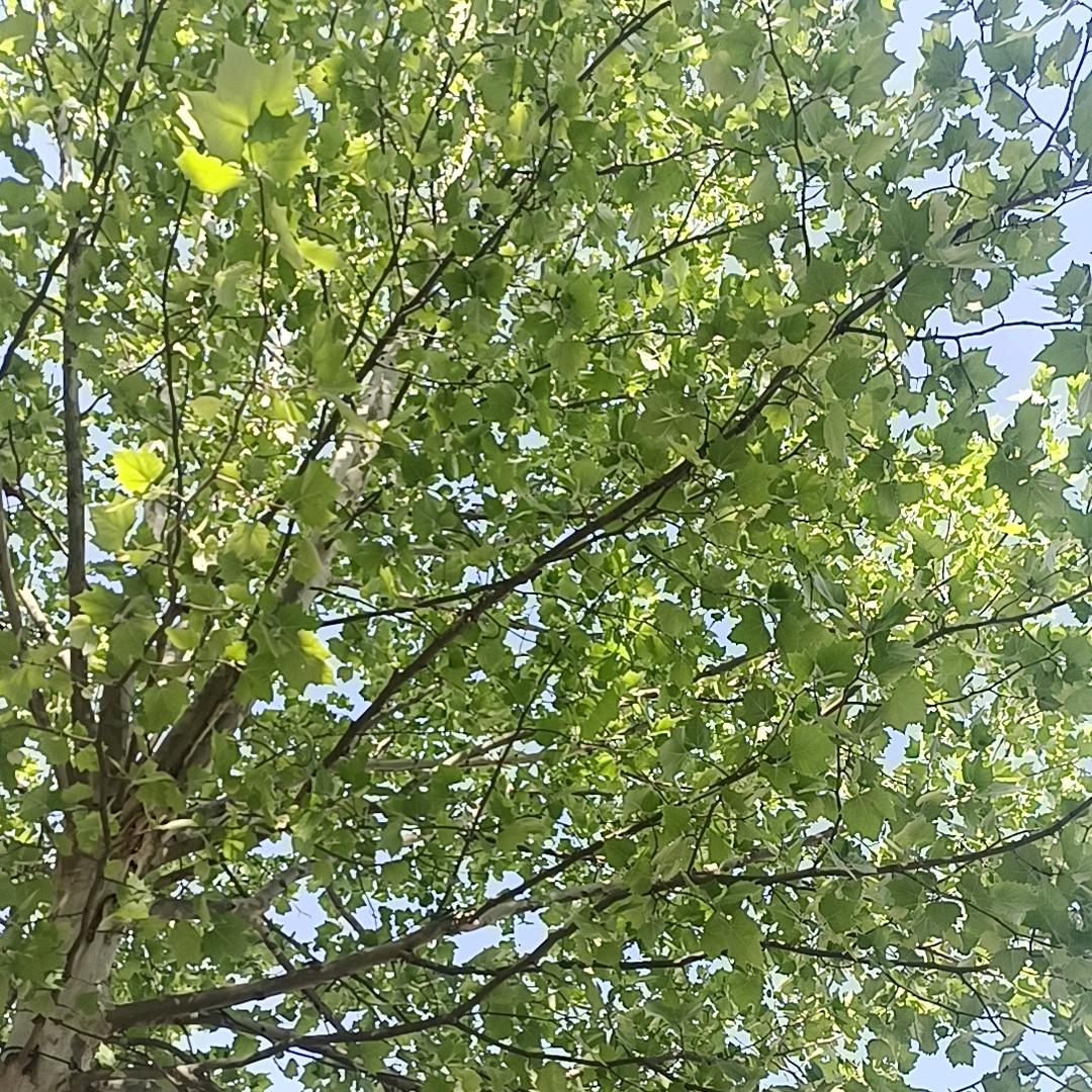 加油，坚持！