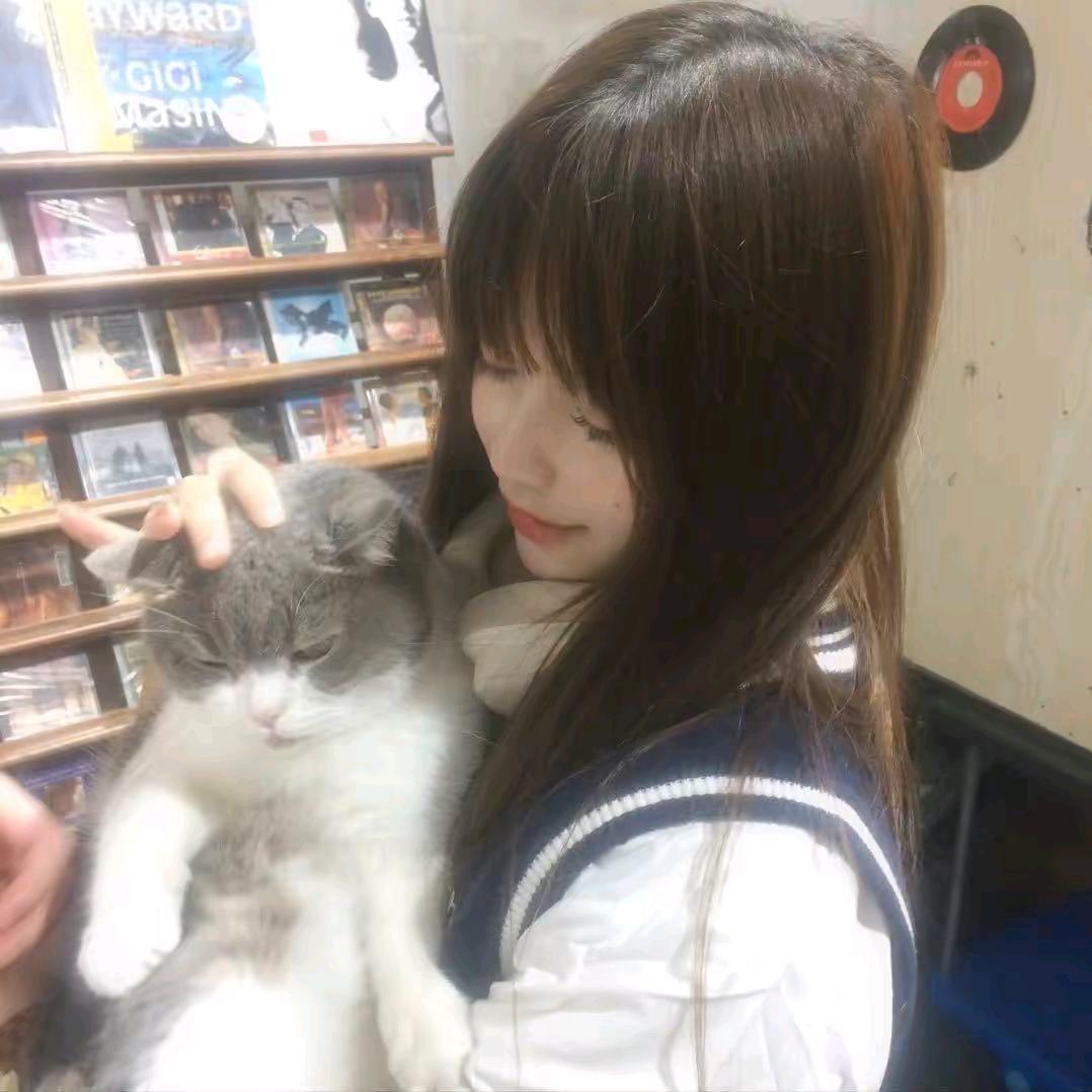 misa.