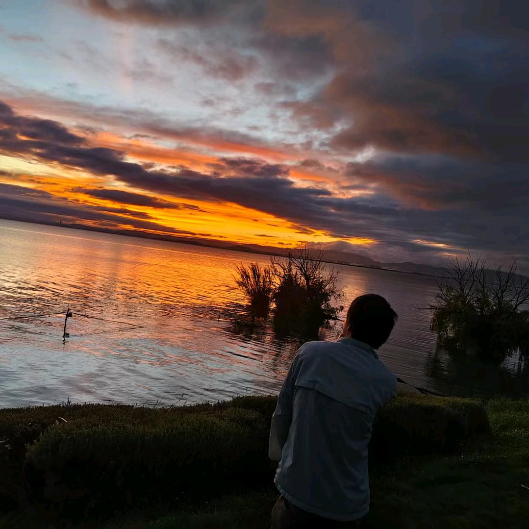 🦀🦀仅此而已