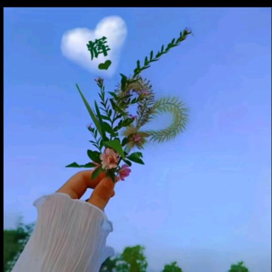 Hi   你好