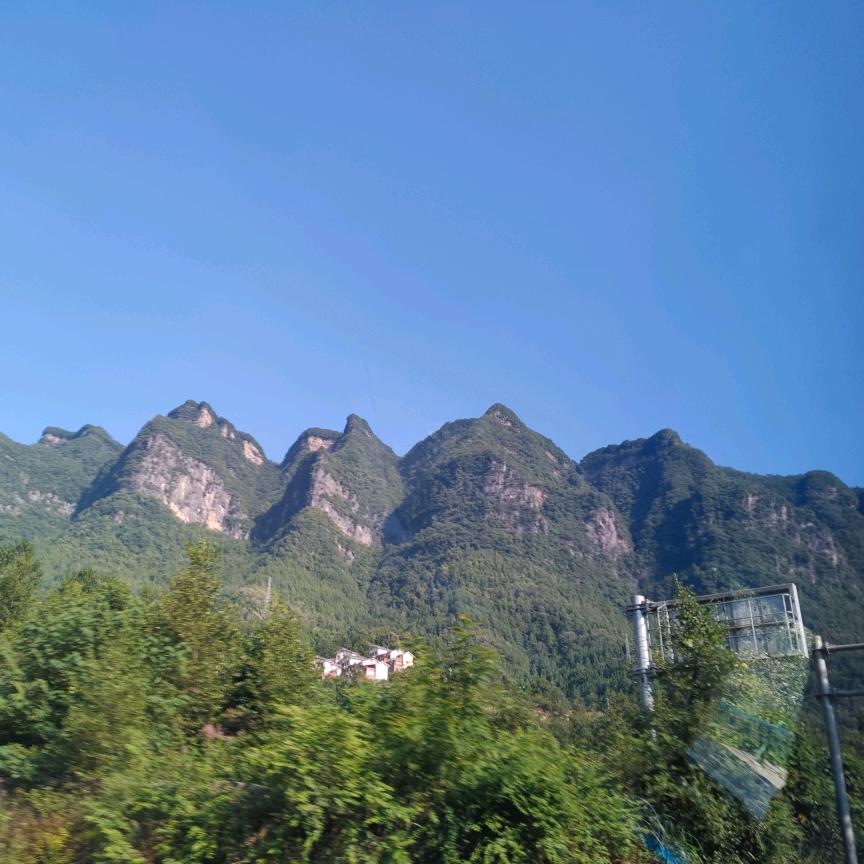 甜可心