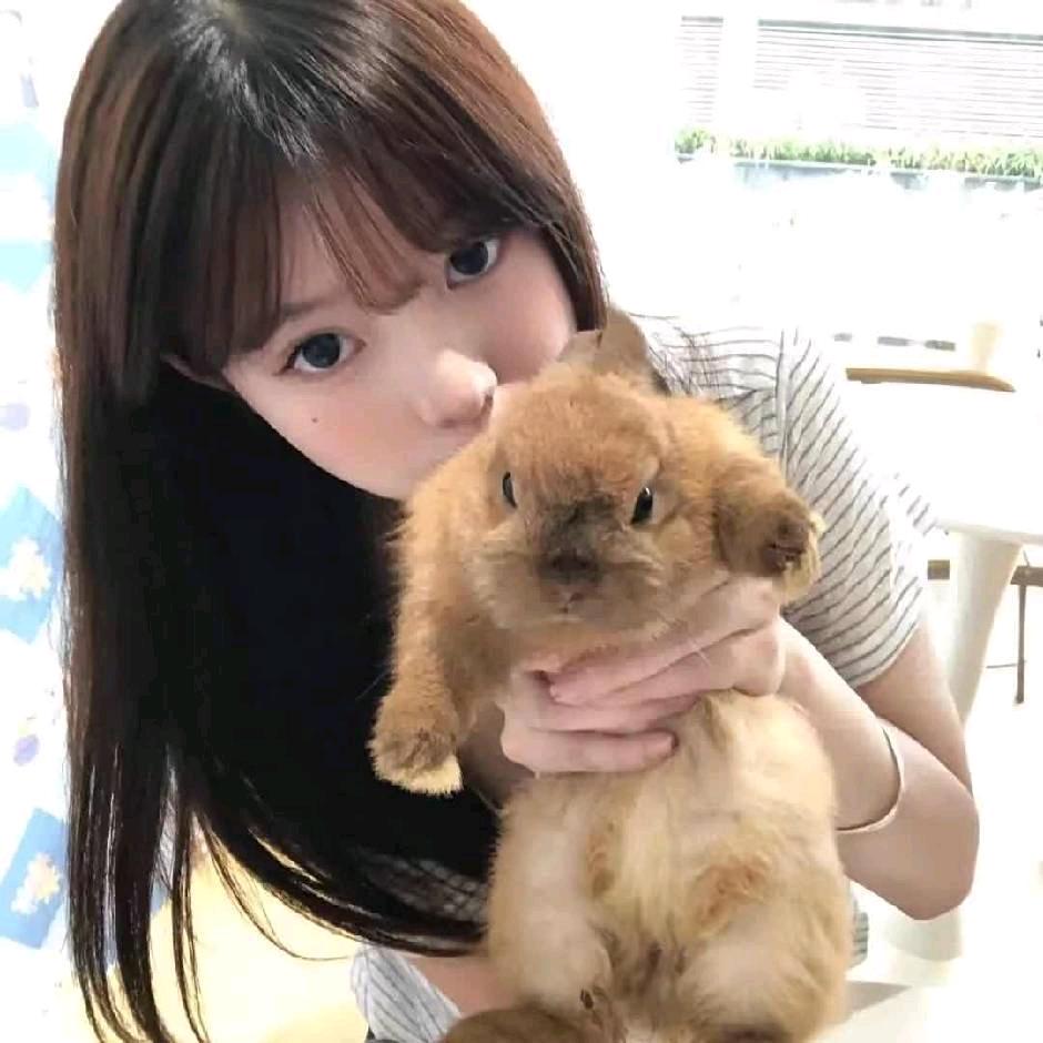魔芋丸