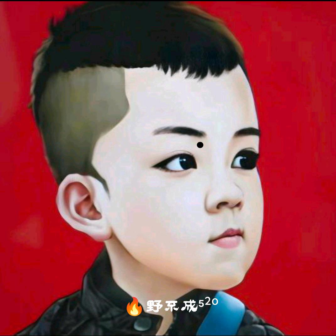🔥野不成⁵²º