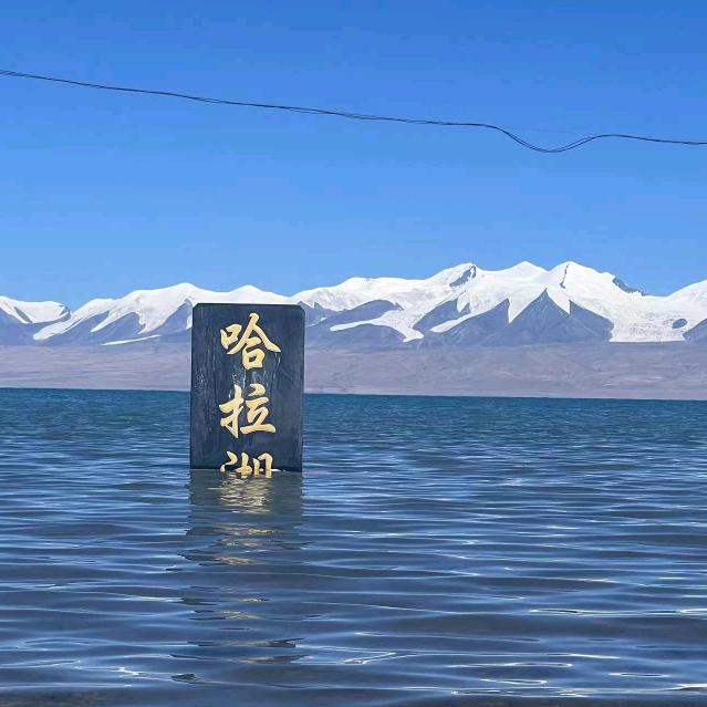 周周睡不醒
