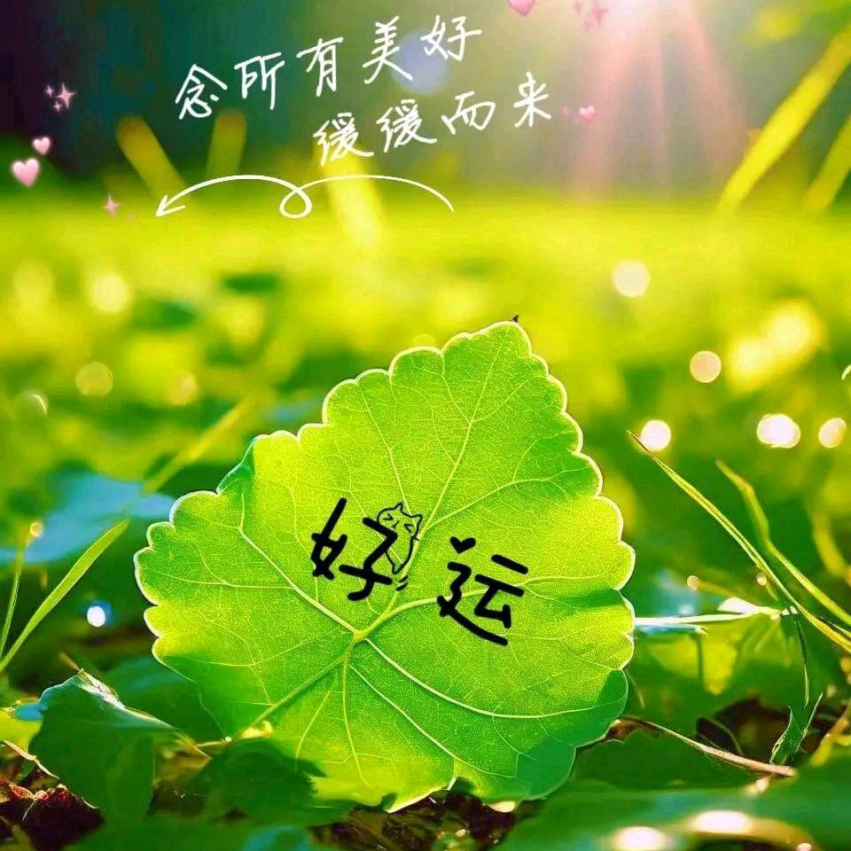 🐰流年🐰