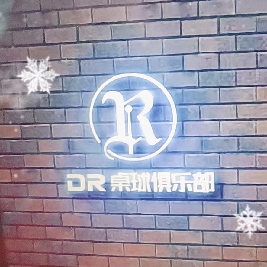 Dr桌球