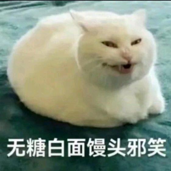 门口有只大黄狗