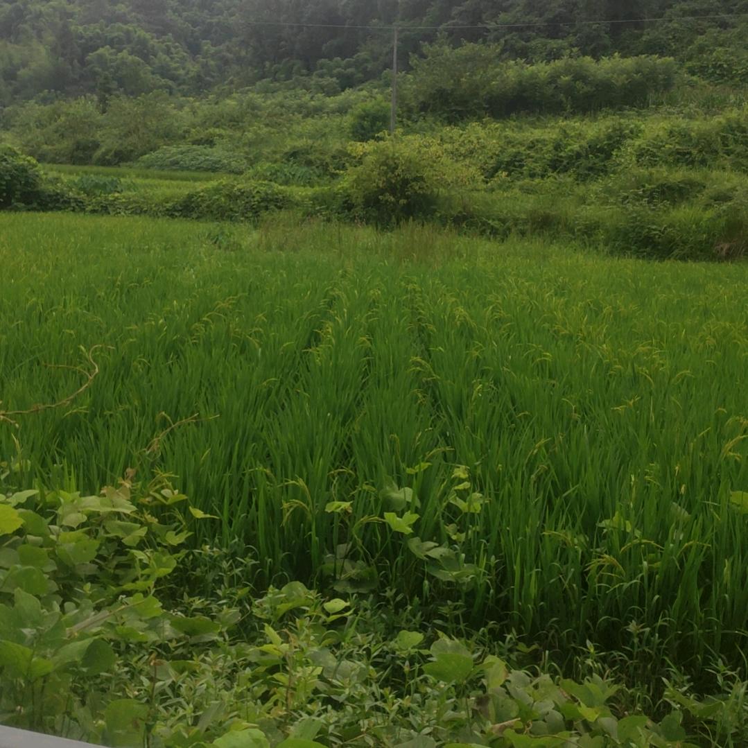 💋᭄ℒ✓～随心～随缘࿐～♥