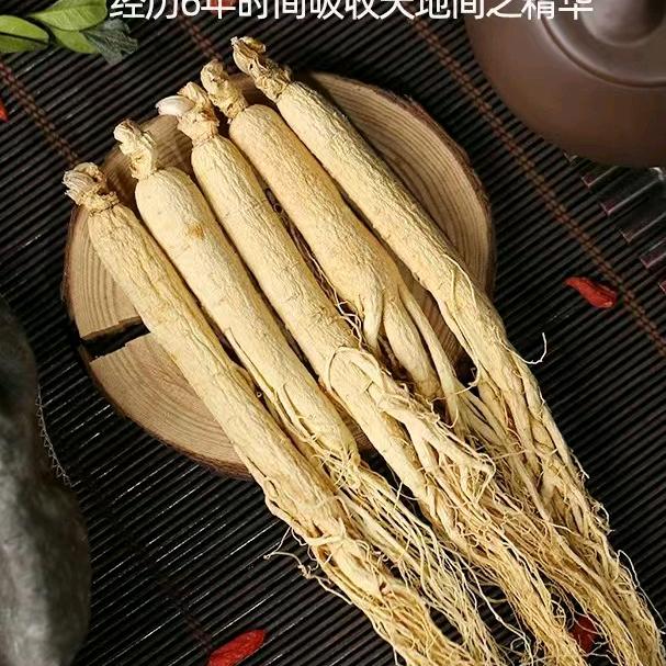 长白山人参总店