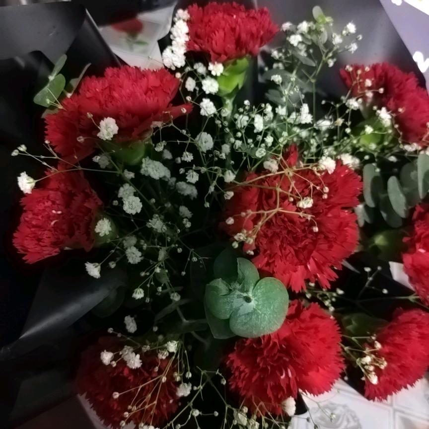 军旅情缘