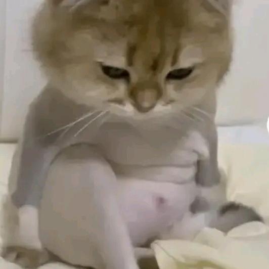 AAA建材批发何总