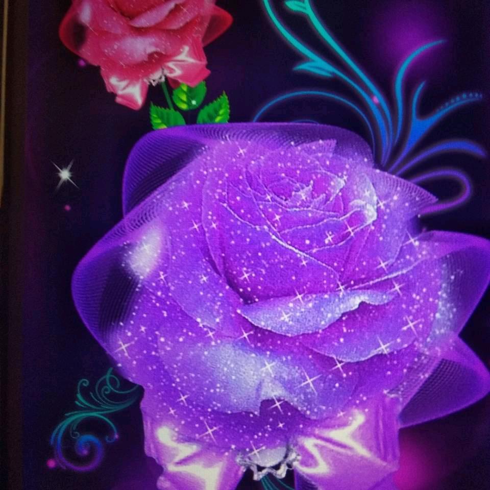 💎🌸🎤解小国