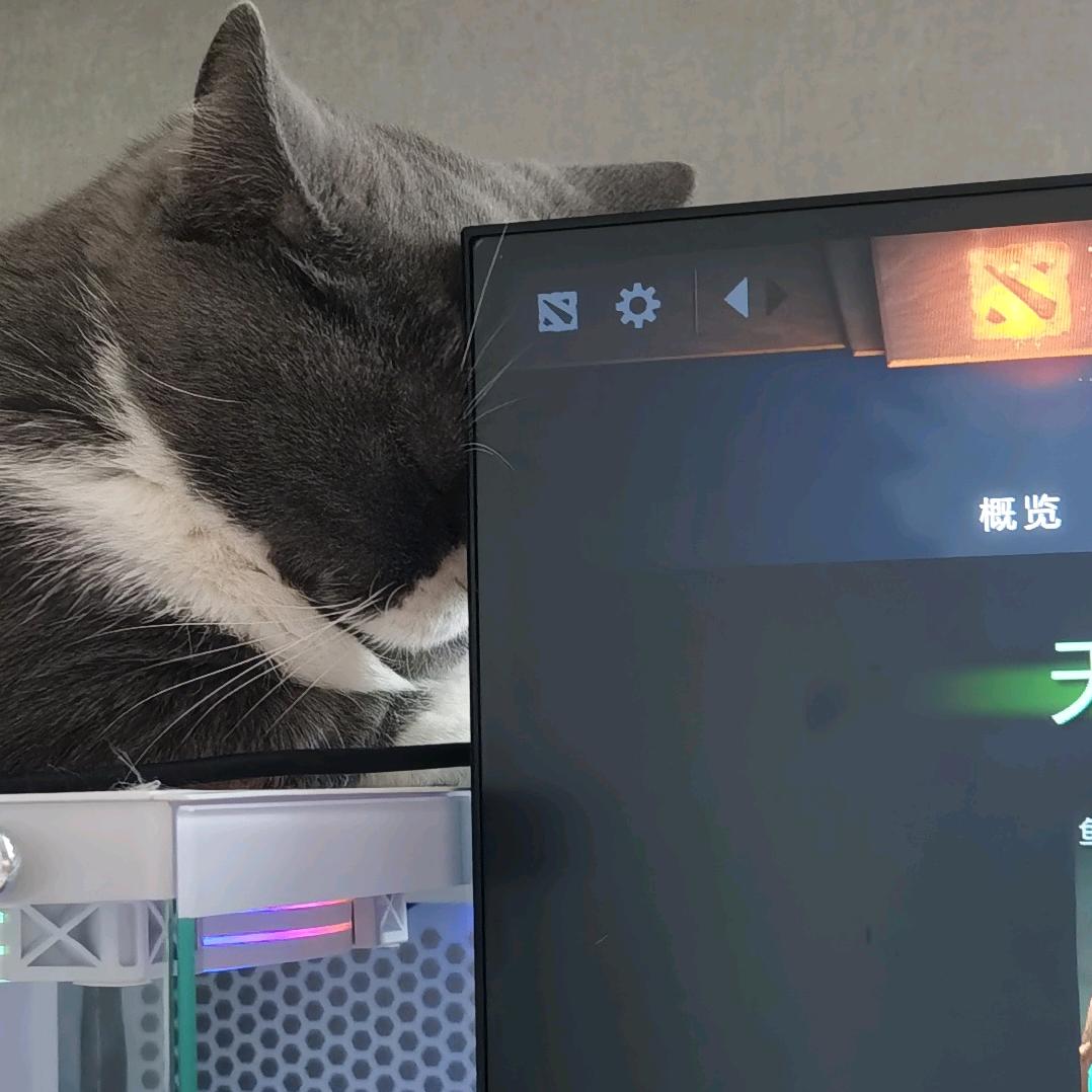 Niuuuuu