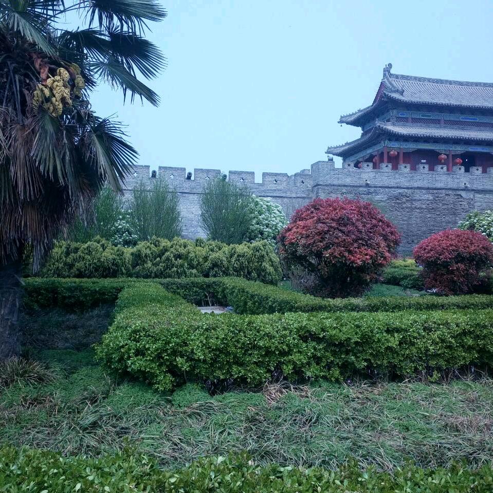 善心结善缘
