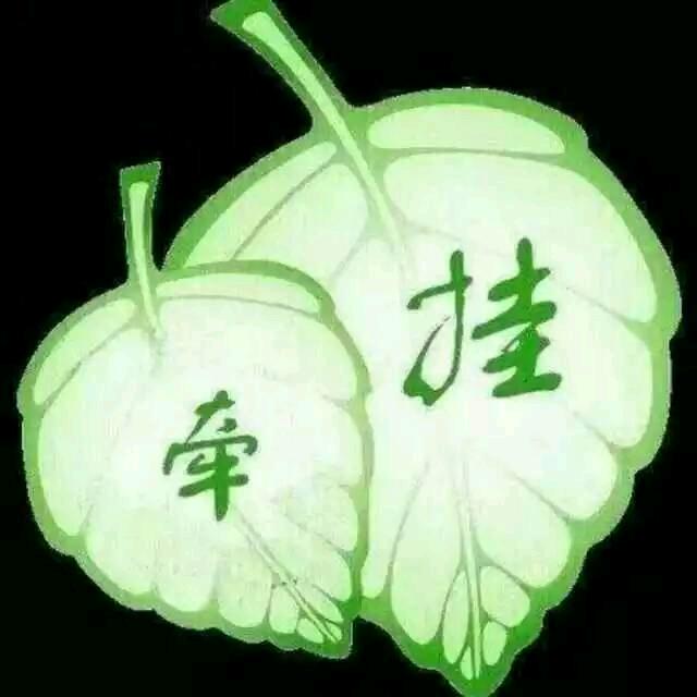 🍒”为你停刘”🍒