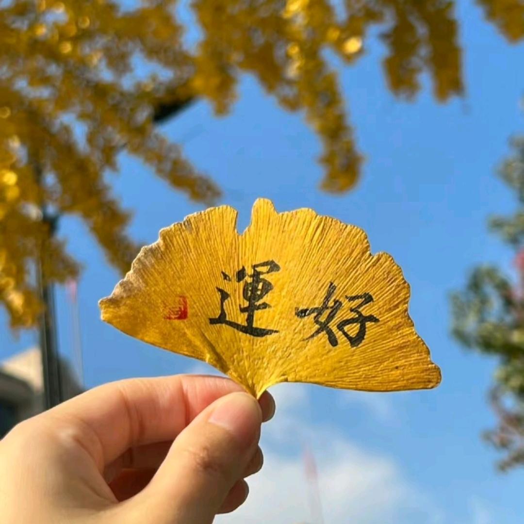 炎姐