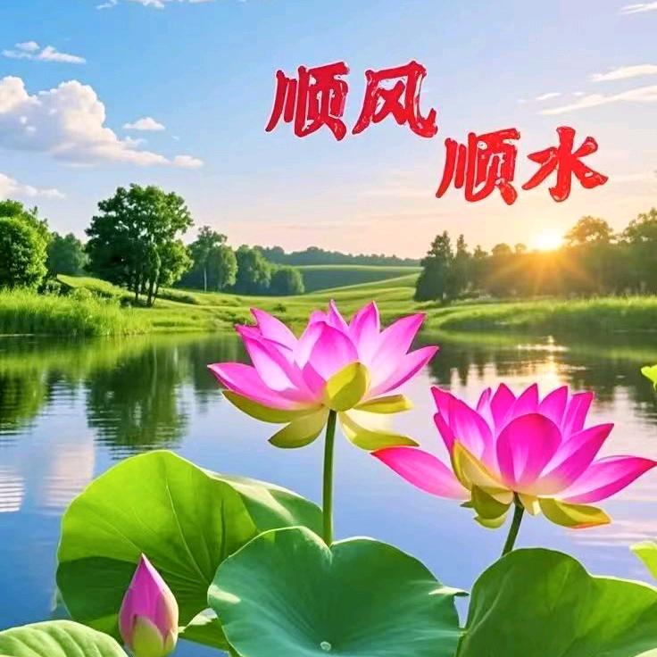 🌹福星高照🌹💖🌷❤️🌻