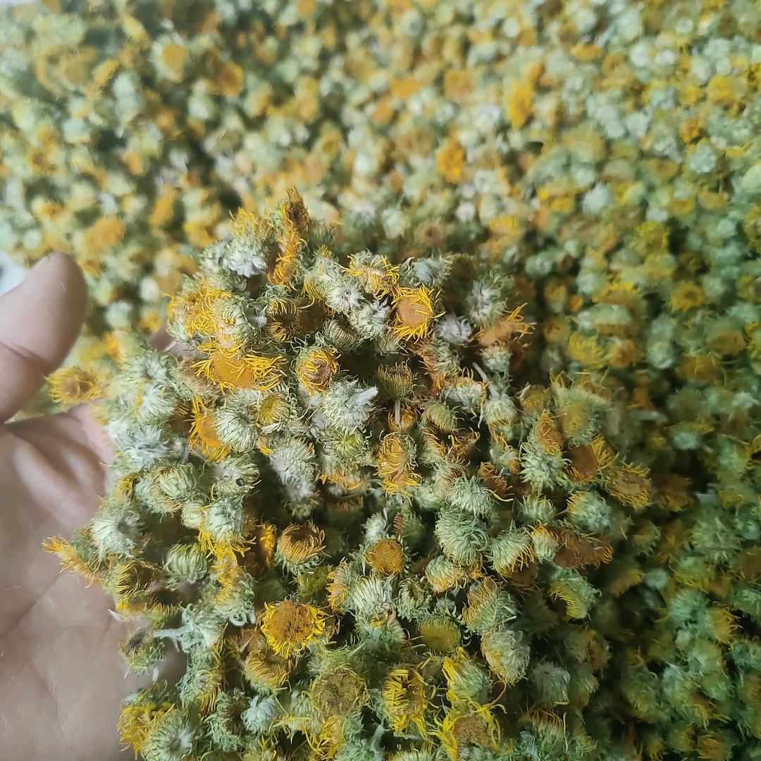 陕西中药材