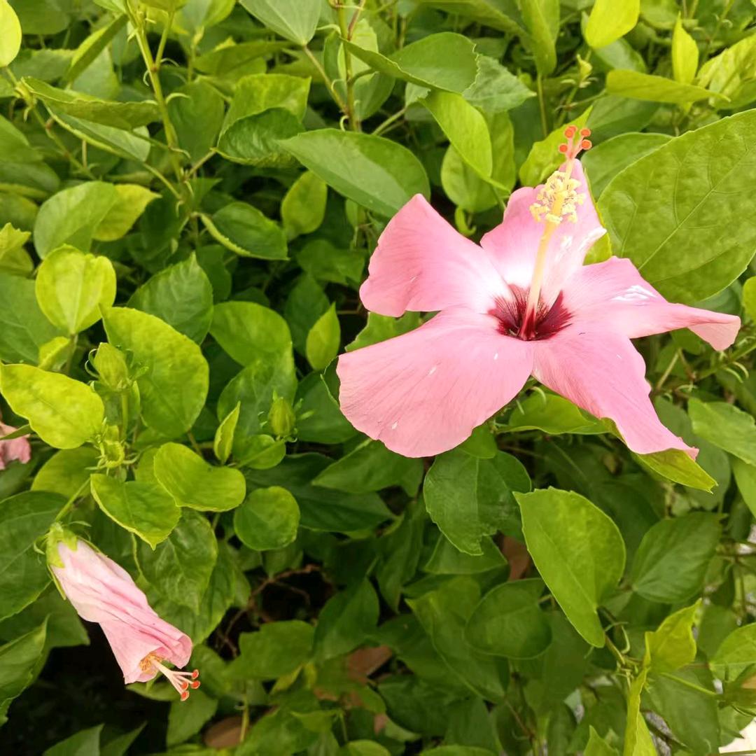 润秋