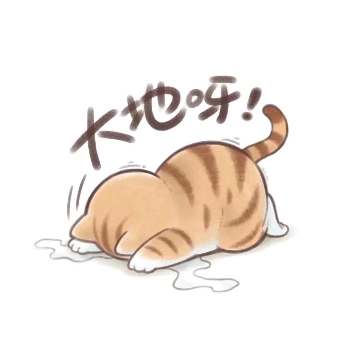 命中注定🧸