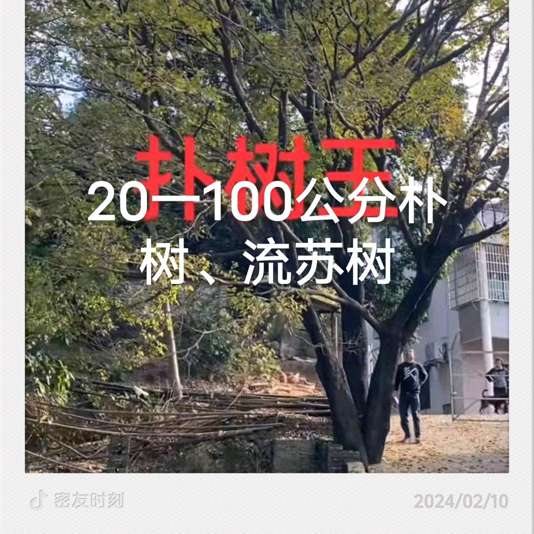 亿森园林绿化工程有限公司