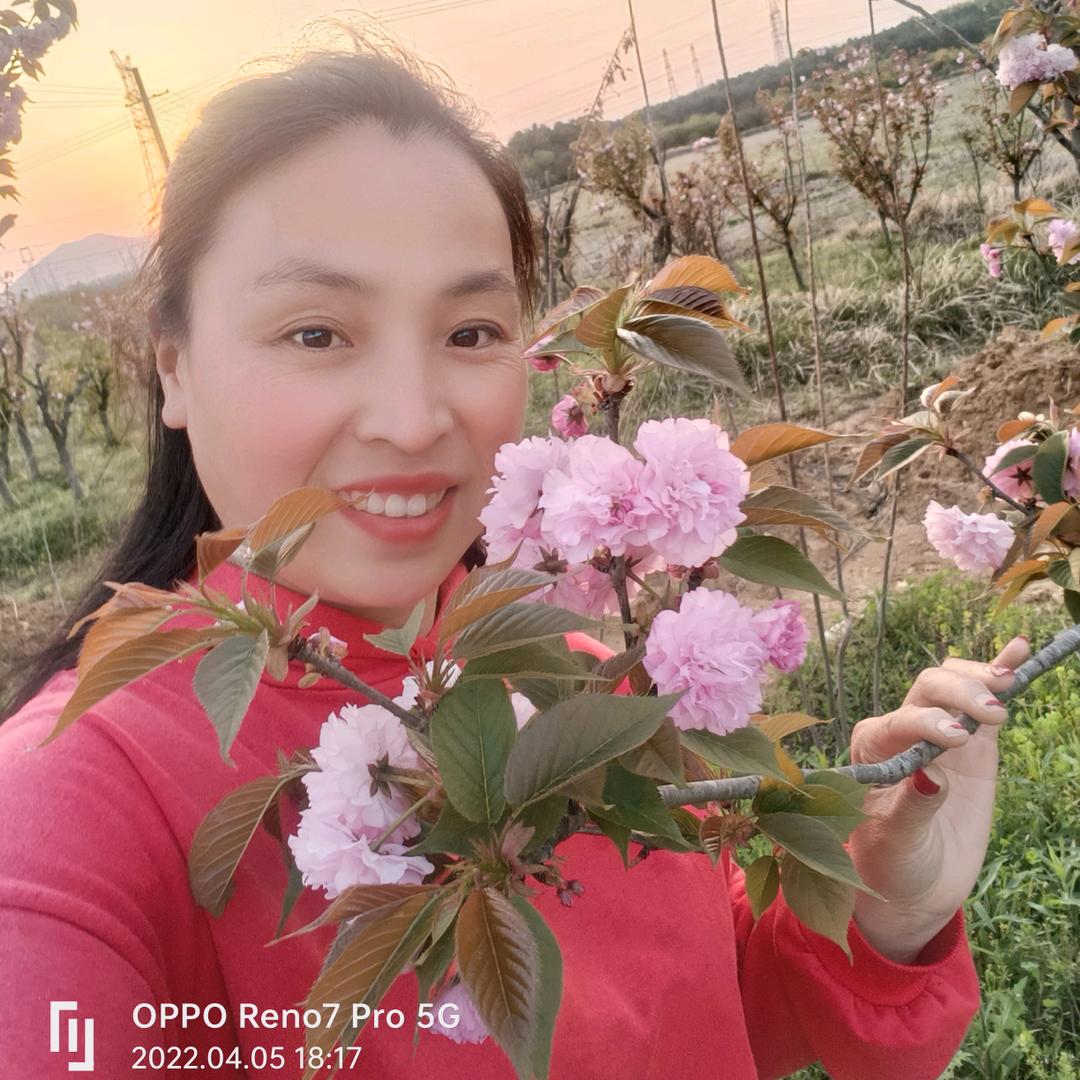 含山县清溪往虹水果店
