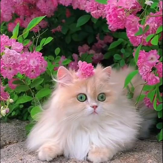 再苦再累不要愁