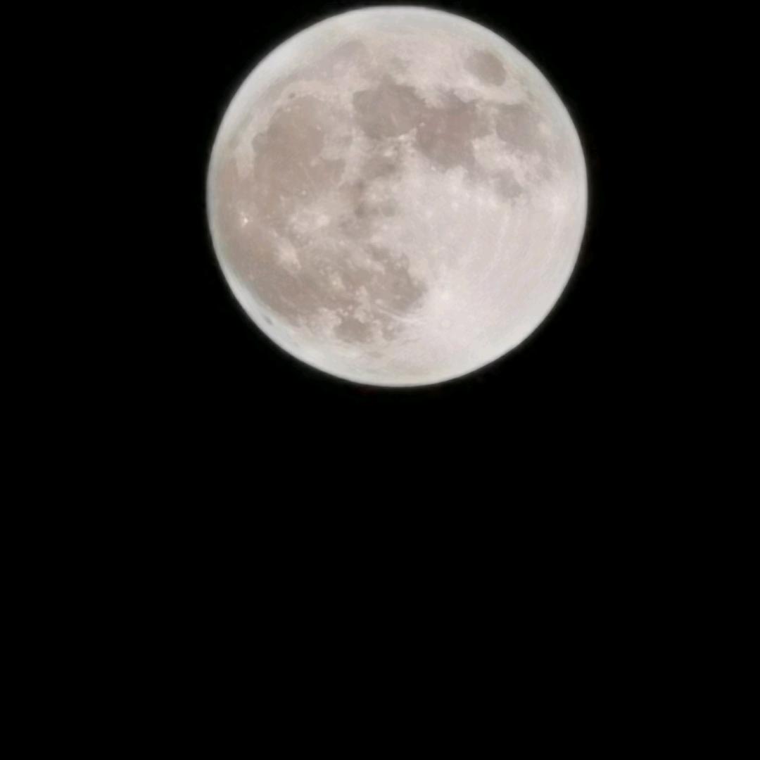 俺爱看逗比🐸🐵🐸