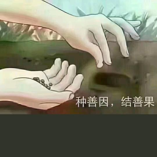 种善因❤️结善果