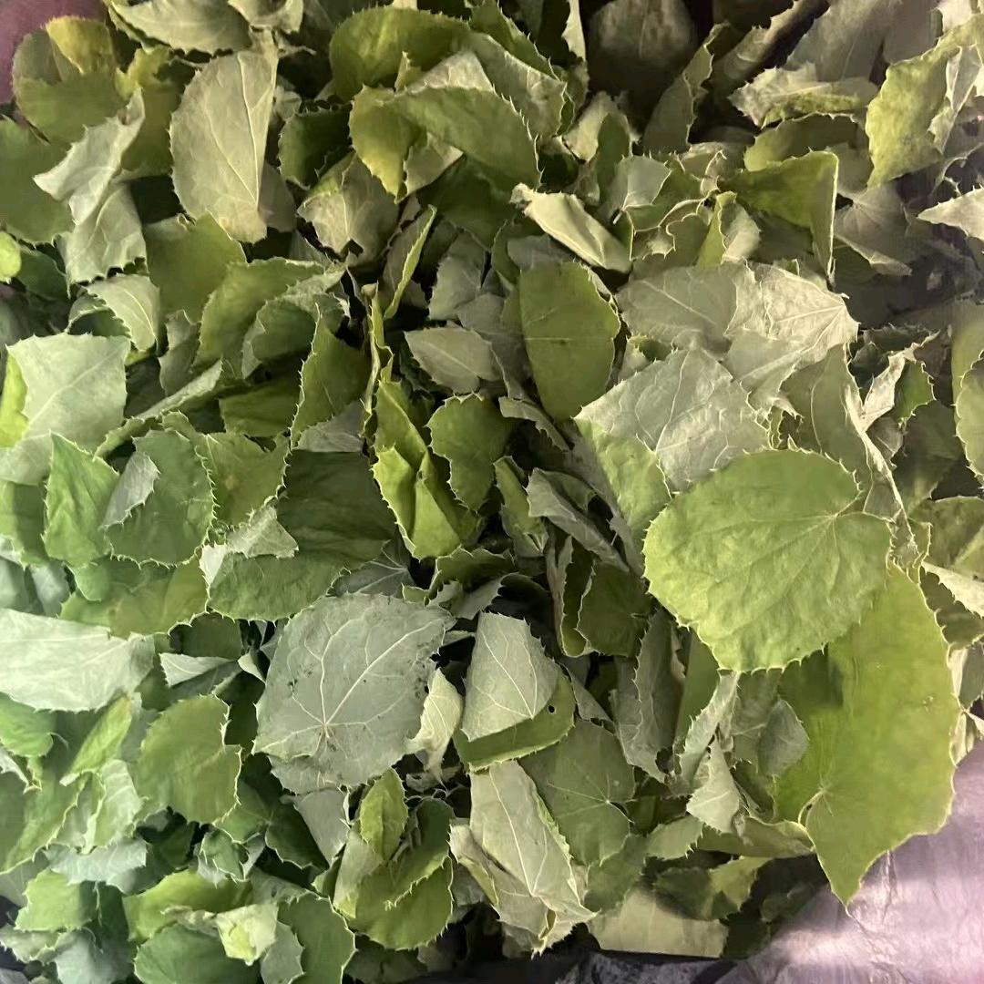 甘肃三之源野生山货店