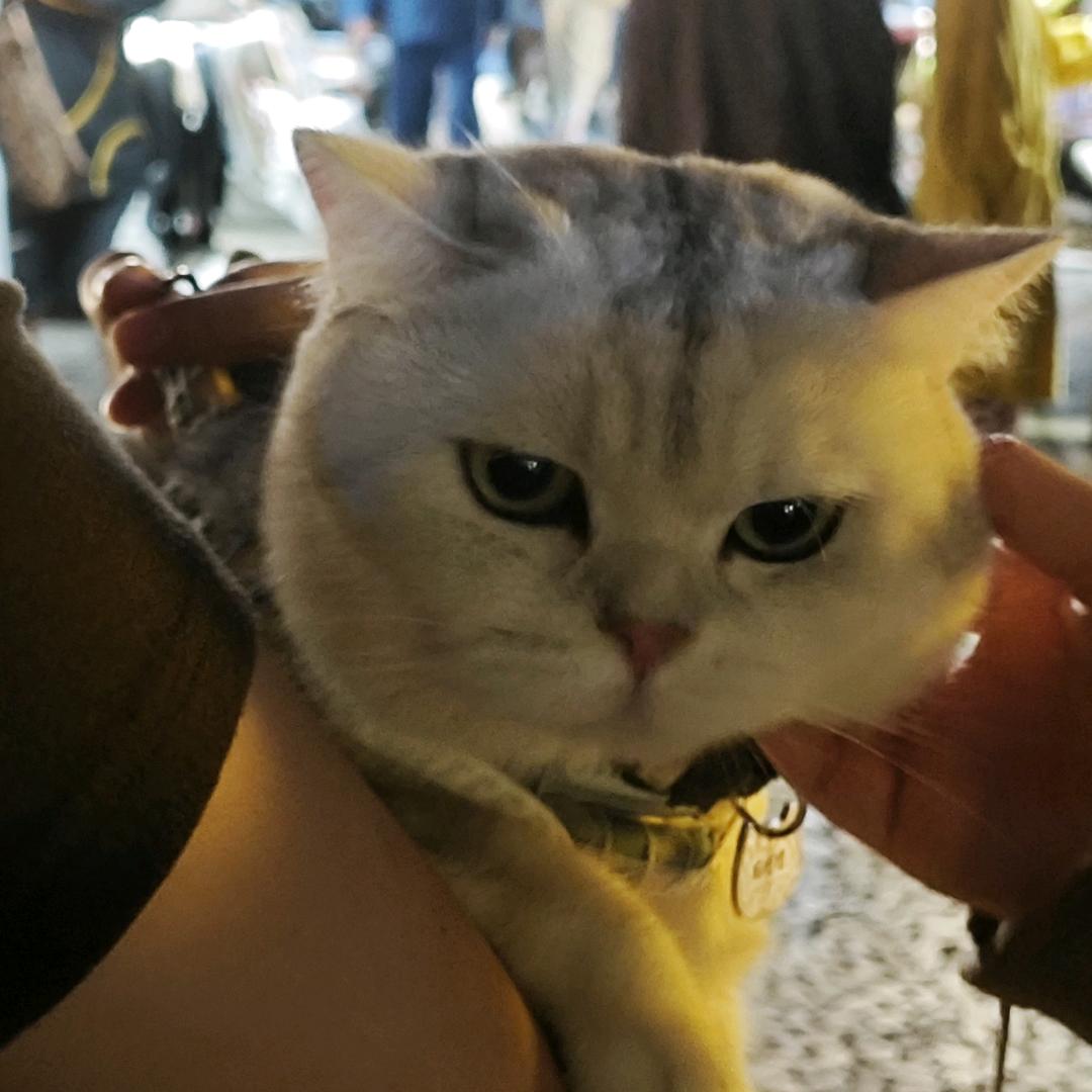 好好的日记